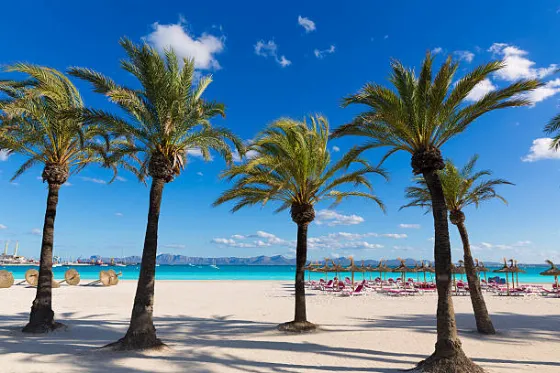 Charter Flights to Spain, Turkey, and Italy from 299 zł
