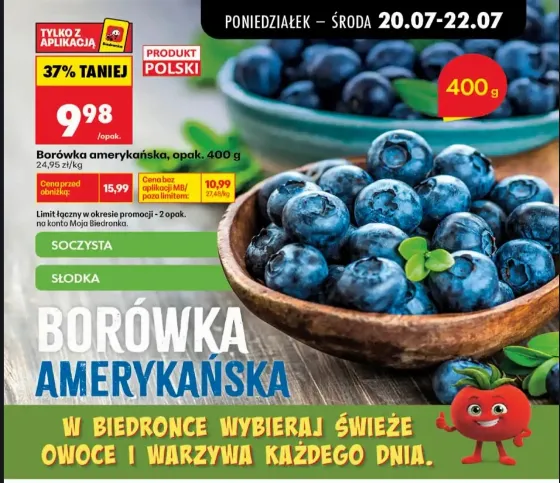 Америка́нская голуби́ка за 9,98 zł за 400 г в Biedronka