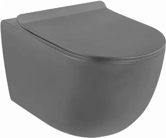 Riviera Wall-Mounted Toilet with Soft-Close Seat for 118 zł