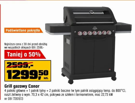 Jamestown CONOR Gas Grill at 50% Off — Now 1,299.50 zł at OBI